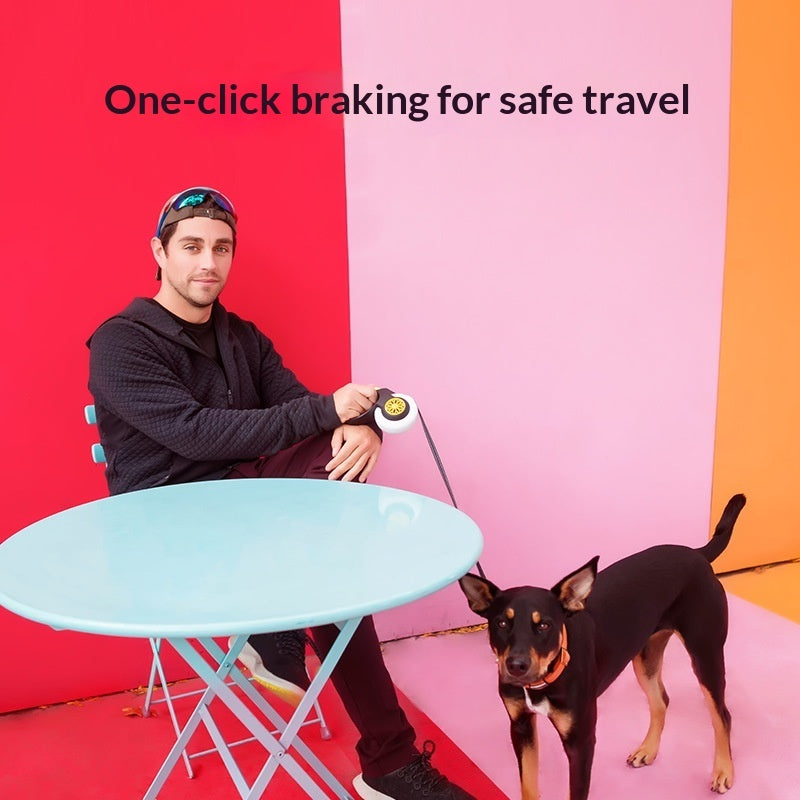 Dog Anti Pull Automatic Retractable Leash Auto Retracting