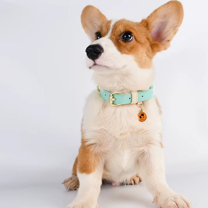 Leather Dog Collar, For Small, Medium, And Large Dogs, Adjustable Pet Collar