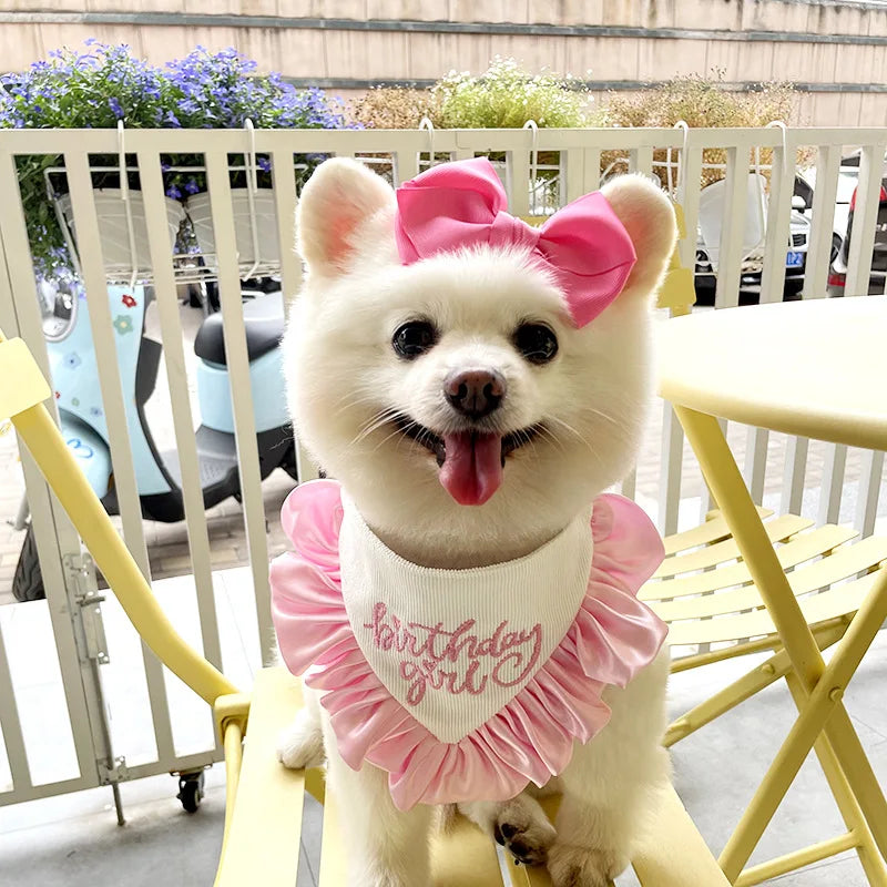Pet Dog Cats Supplies Cute Pink Blue Letter Print Bibs Collars Birthday Party Tie Puppy Grooming Jewelry Accessories Chihuahua