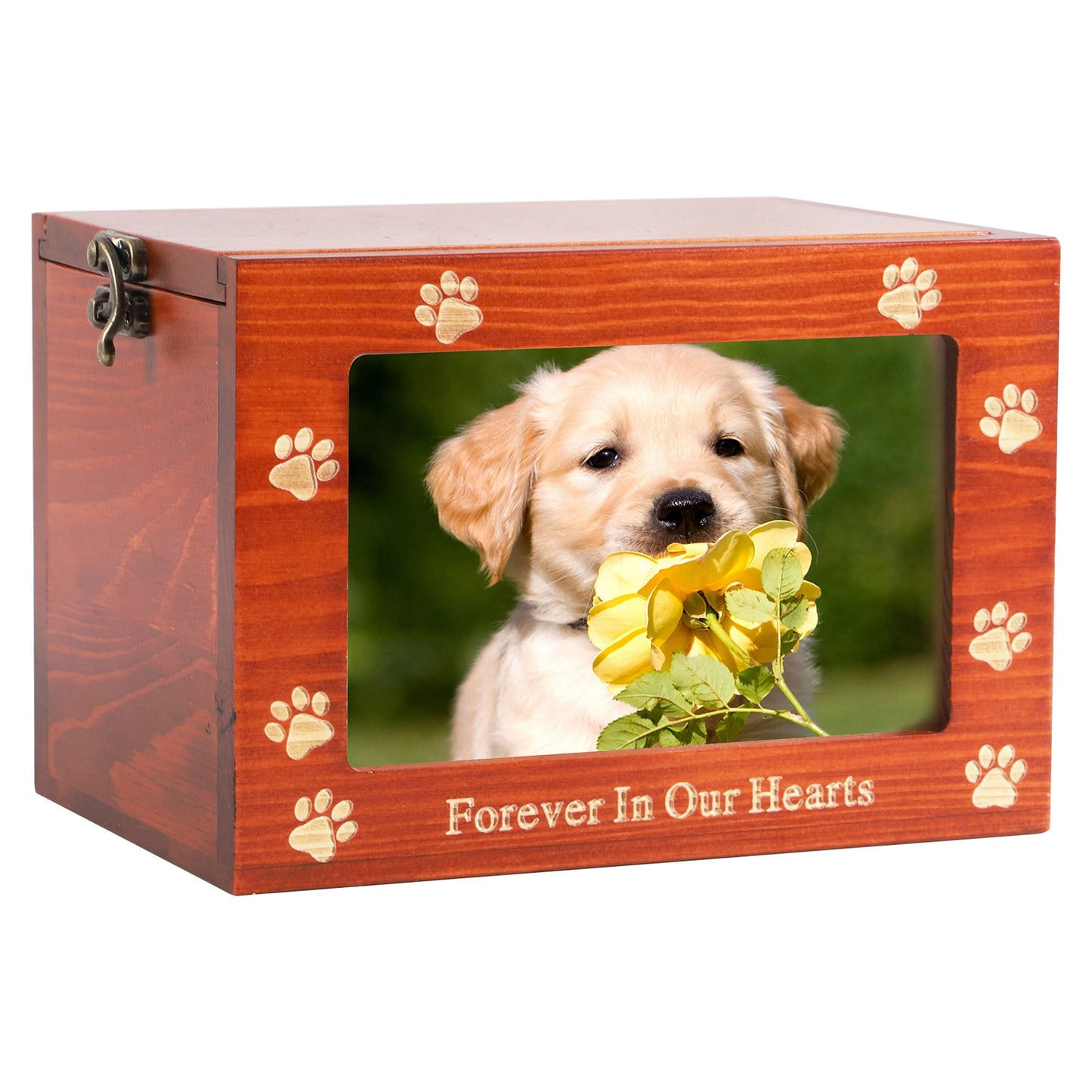Pet Urn Commemorating The Remains Of Cats And Dogs