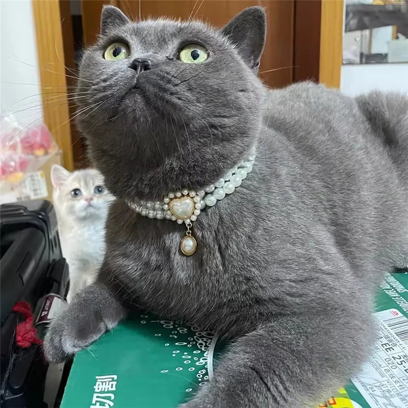 Dog Cat Pearl Collar for Small Dogs Pet Cat Necklace with Luxury Crystal Charms for Wedding Birthday Jewelry Costume Accessories