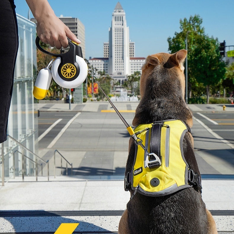 Dog Anti Pull Automatic Retractable Leash Auto Retracting