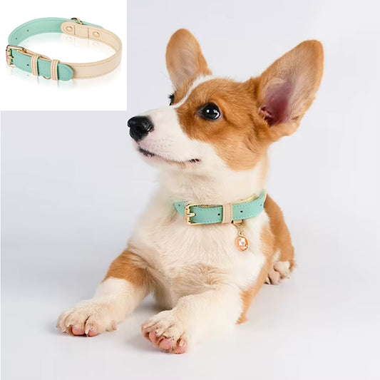 Leather Dog Collar, For Small, Medium, And Large Dogs, Adjustable Pet Collar