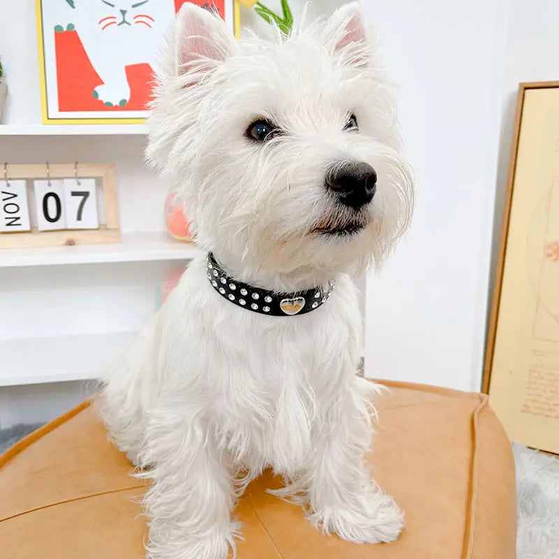 Adjustable Leather Dog Collars Rhinestone Heart Necklac, Pet Accessories Small Medium Large Outdoor Bling