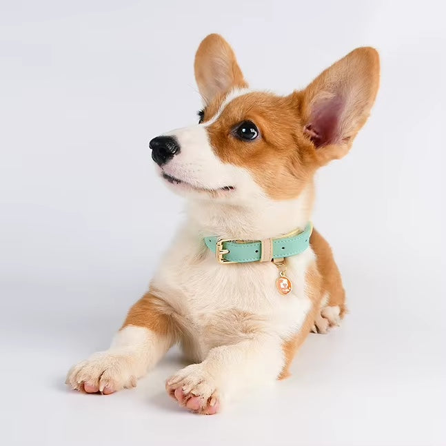 Leather Dog Collar, For Small, Medium, And Large Dogs, Adjustable Pet Collar
