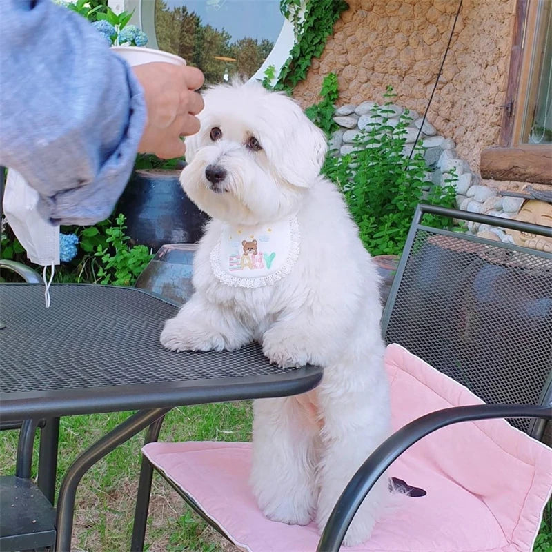 Cute Bear Hollow Pet Dogs Neck Accessories Soft Cotton Birthday Bandage Collar for Small Medium Dogs Lace Up Puppy Kitten Bibs