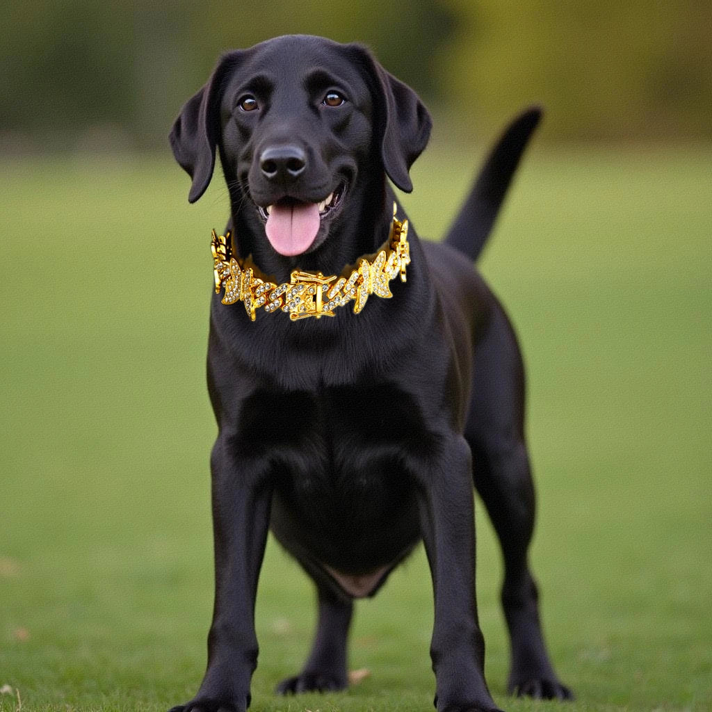 Vintage Fashion Butterfly Charm Chain Collar Secure Buckle Matching Pet And Owner Necklace Jewelry Accessories For Cat Dogs