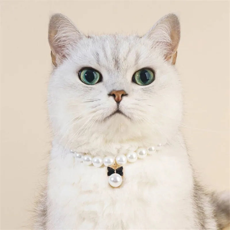 Pet Pearl Collar Dog Princess Necklace Cat Jewelry Cute Bow Collar Puppy Accessories Dog Chain Chihuahua Wedding Jewelry Stuff