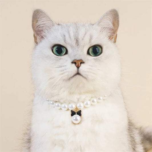 Pet Pearl Collar Dog Princess Necklace Cat Jewelry Cute Bow Collar Puppy Accessories Dog Chain Chihuahua Wedding Jewelry Stuff