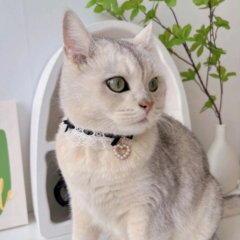 Romantic Lace Neck Collar for Small York Dogs Pearl Heart Adjustable Chihuahua Cat Accessories Bow Knot Girl Pet Puppy Neck Wear