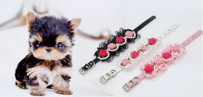 Hot fashion Flower lace pet dog collar with Pearl For Small Animals Soft Leather Adjustable Puppy Cat Collar Harness 3 color