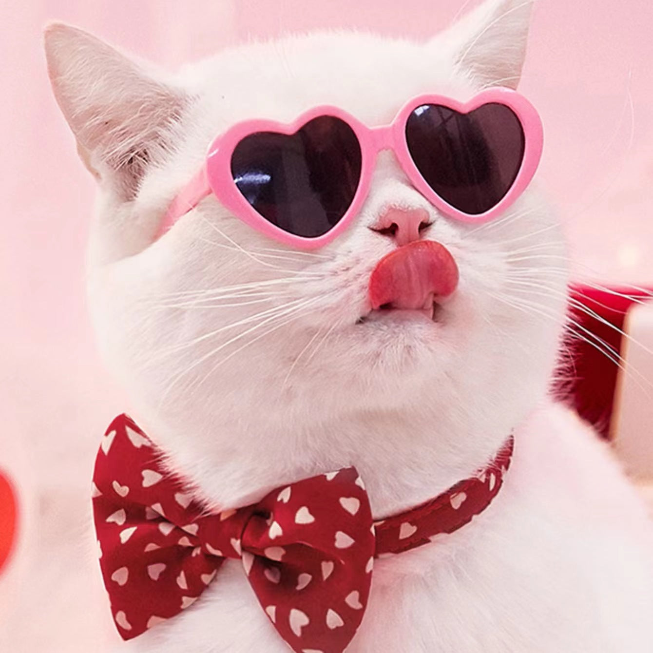 Sunglasses Pet Accessories