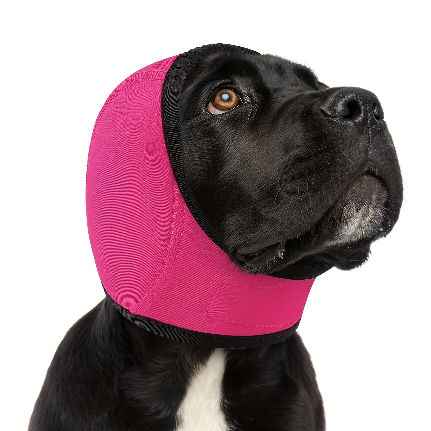 Swim-Proof Head Cover For Pet Dogs In Fall And Winter
