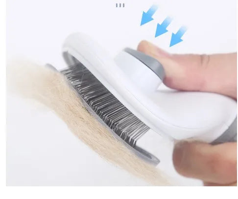 product/2023/11/16/1724974379558899712.jpg