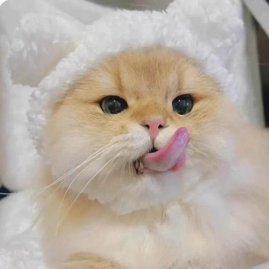 /product/2025/7/18/1946093601226362880.jpg